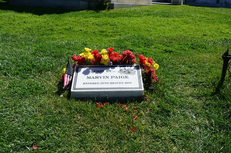 The Understudies Who Stole the Show: How Hollywood's Backup Picks Became Bigger Stars Than the Original Cast